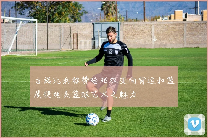 吉诺比利称赞哈珀双变向背运扣篮展现绝美篮球艺术之魅力